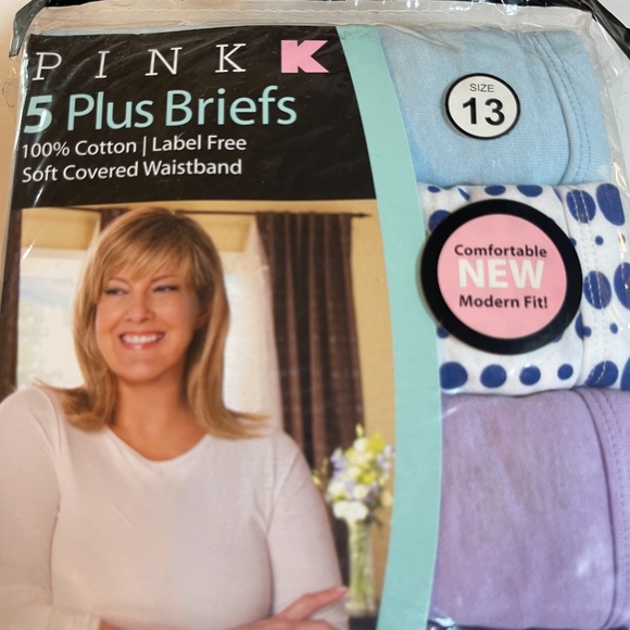 Kmart PINK Briefs Underwear Womens Plus Sz 13 Cotton 5 Pack Blue Purple Polka Do - Picture 2 of 14
